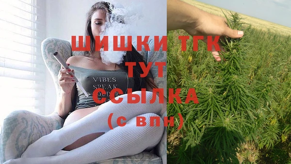 PSILOCYBIN Горнозаводск