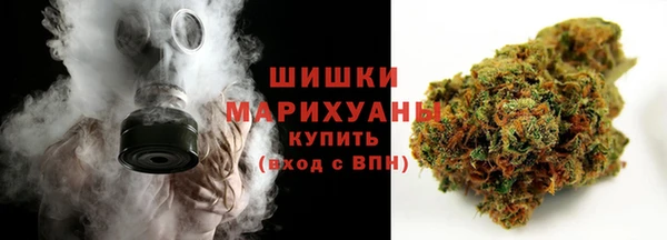 прущие грибы Горно-Алтайск