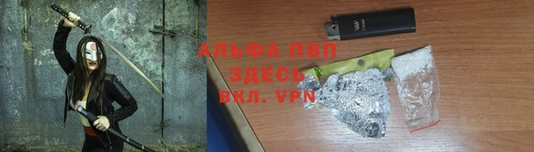 прущие грибы Горно-Алтайск