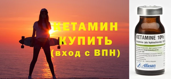 прущие грибы Горно-Алтайск
