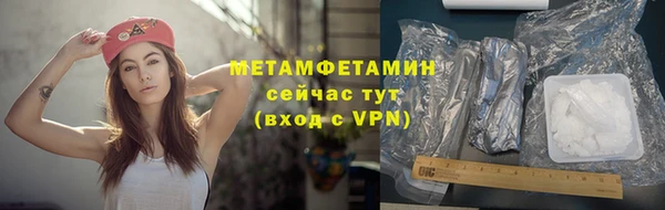 прущие грибы Горно-Алтайск