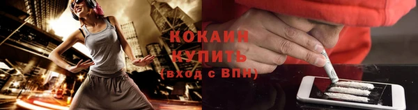 прущие грибы Горно-Алтайск