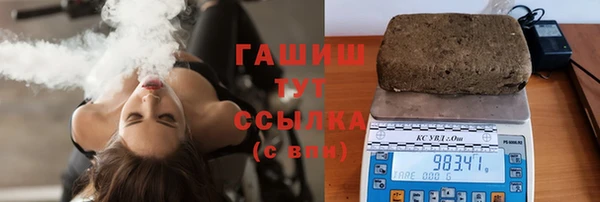 прущие грибы Горно-Алтайск