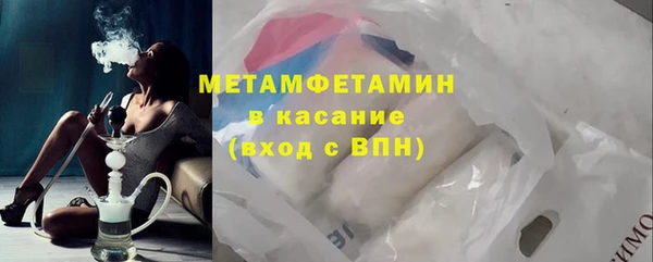прущие грибы Горно-Алтайск