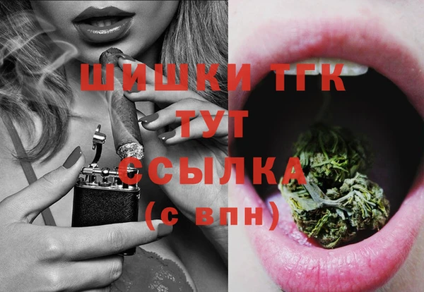 МДПВ Горняк