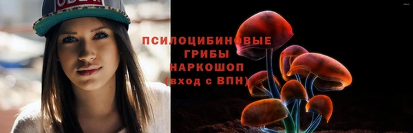 МДПВ Горняк