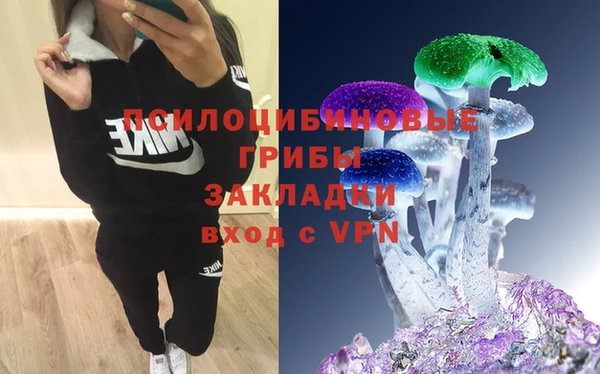 a pvp Вяземский