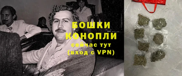 прущие грибы Горно-Алтайск