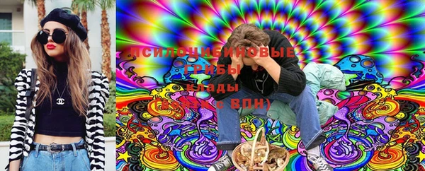 PSILOCYBIN Горнозаводск
