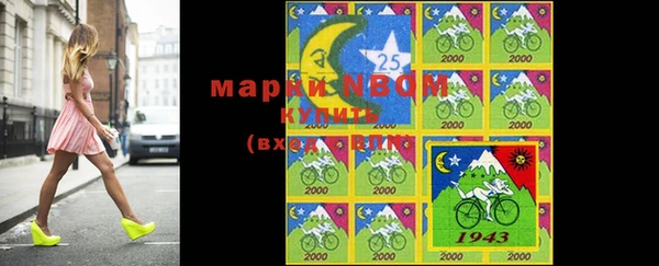 прущие грибы Горно-Алтайск